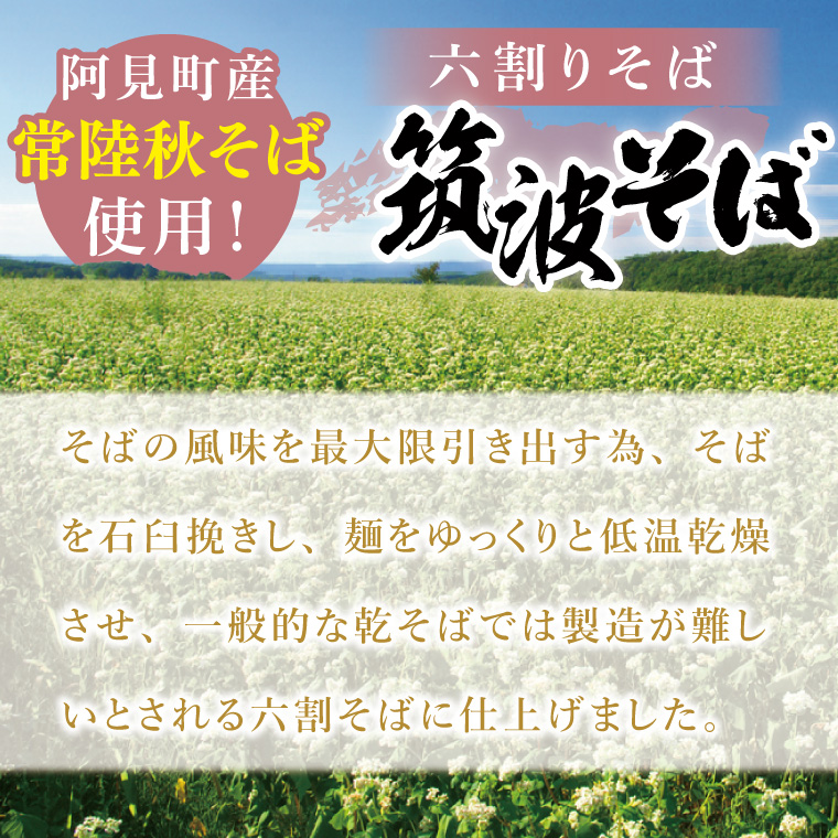 常陸秋そば使用 筑波そば つゆ付・レンコンパスタ詰合【れんこん 蕎麦 麺 うどん 石臼挽き 乾麵 食べ比べ 食べ比べセット 阿見町 茨城県 20000円以内 2万円以内】（33-03）