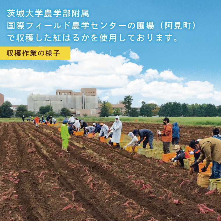 18-01 ã»ã¡ã³ãå±ããã®å¹²ãèã5è¢ã»ãããèšåçç£ããµããã€ã¢ããã€ãŸãããå¹²ãèããããããçŽ
ã¯ãããçããããã€ã