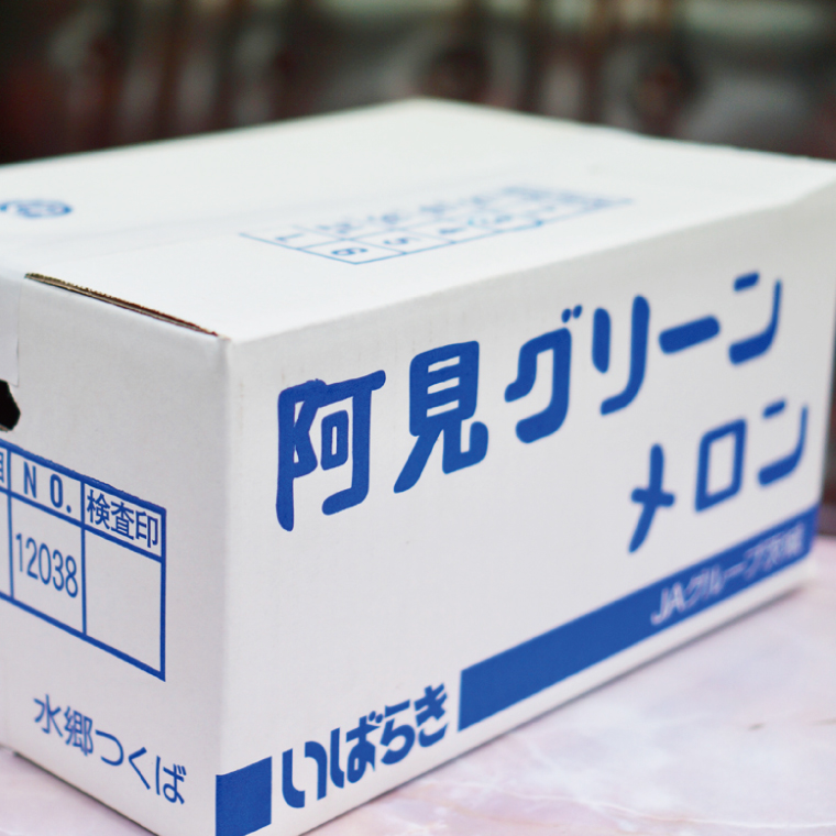 20-03 【先行予約】【2025年6月下旬より発送予定】茨城県産阿見グリーンメロン5kg（3玉）【秀品4L】【JA水郷つくば】【フルーツ 果物 くだもの 甘い おいしい メロン 茨城県 阿見町】