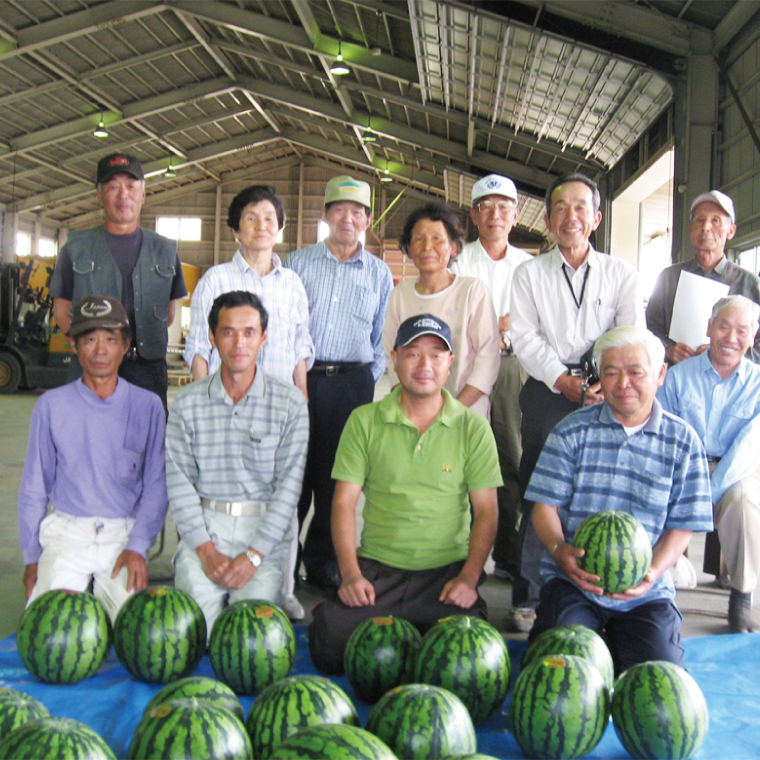 20-04 【先行予約】【2025年6月中旬より発送予定】茨城県産大玉すいか2玉（1玉6～7.5kg）JA水郷つくば【スイカ 西瓜 フルーツ 果物 くだもの 大玉 茨城県 阿見町】