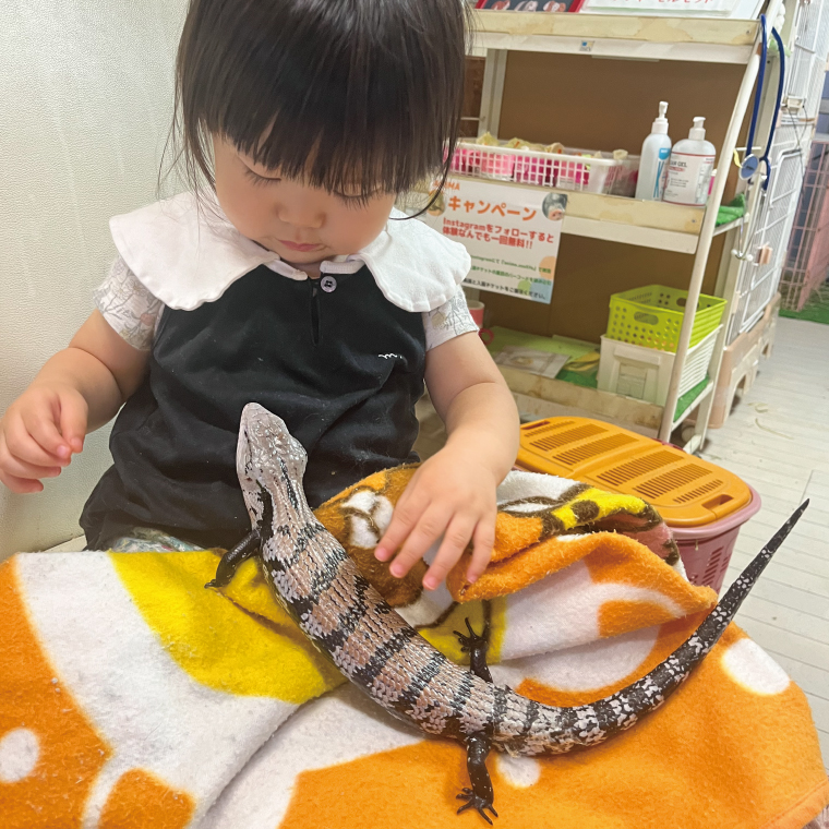 ふれあい動物園ANIMA 年間パス【動物 どうぶつ 動物園 チケット 年間パスポート 阿見町 茨城県】（61-01）