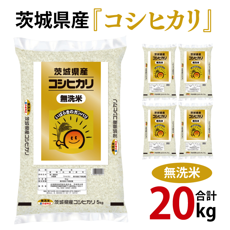 年内期間限定！令和6年産 茨城県産 無洗コシヒカリ20kg（5kg×4袋）【お米 米 こしひかり ごはん 茨城県】（03-71）