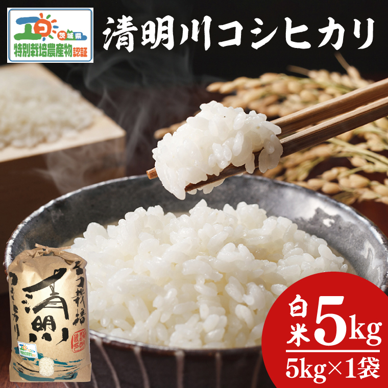 令和7年産 茨城県特別栽培認証 清明川コシヒカリ白米5kg【米 おこめ こしひかり  特別栽培米 農家直送 直送 茨城県 阿見町】(04-01-1)