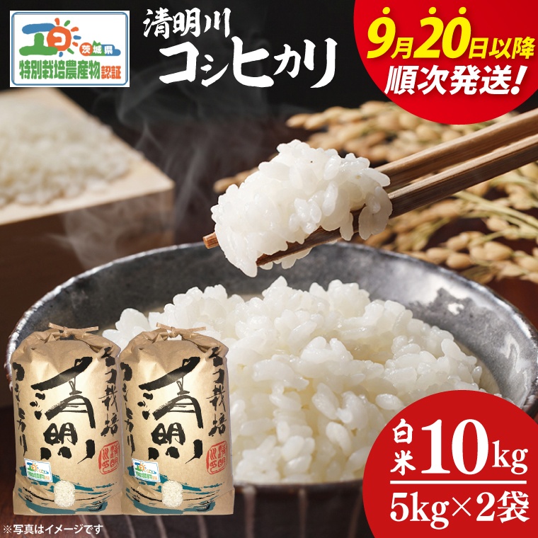 ã什å7幎9æ20æ¥ä»¥éé æ¬¡çºéããå
è¡äºçŽãæ°ç±³ä»€å7幎ç£èšåçç¹å¥æ œå¹èªèšŒ æž
æå·ã³ã·ãã«ãªçœç±³5kgÃ2è¢ãç±³ ããã ããã²ãã ç¹å¥æ œå¹ç±³ 蟲家çŽé çŽé èšåç é¿èŠçºãïŒ04-02-1ïŒ