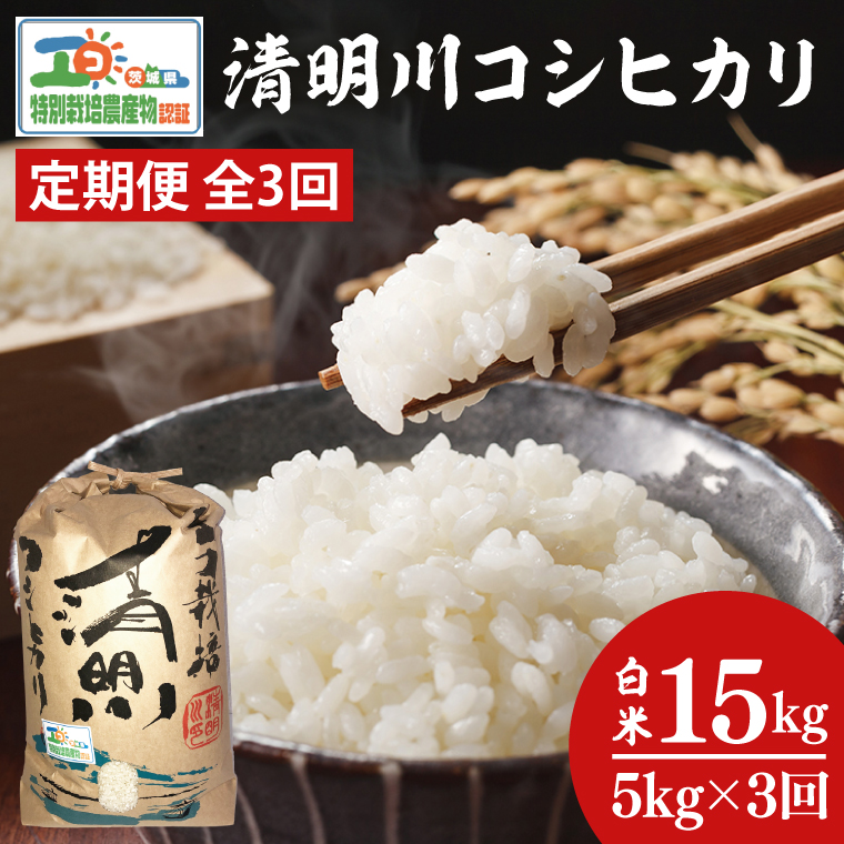 【3ヶ月定期便】茨城県特別栽培認証 清明川コシヒカリ白米5kg【米 おこめ こしひかり  特別栽培米 農家直送 直送 茨城県 阿見町】（04-03）