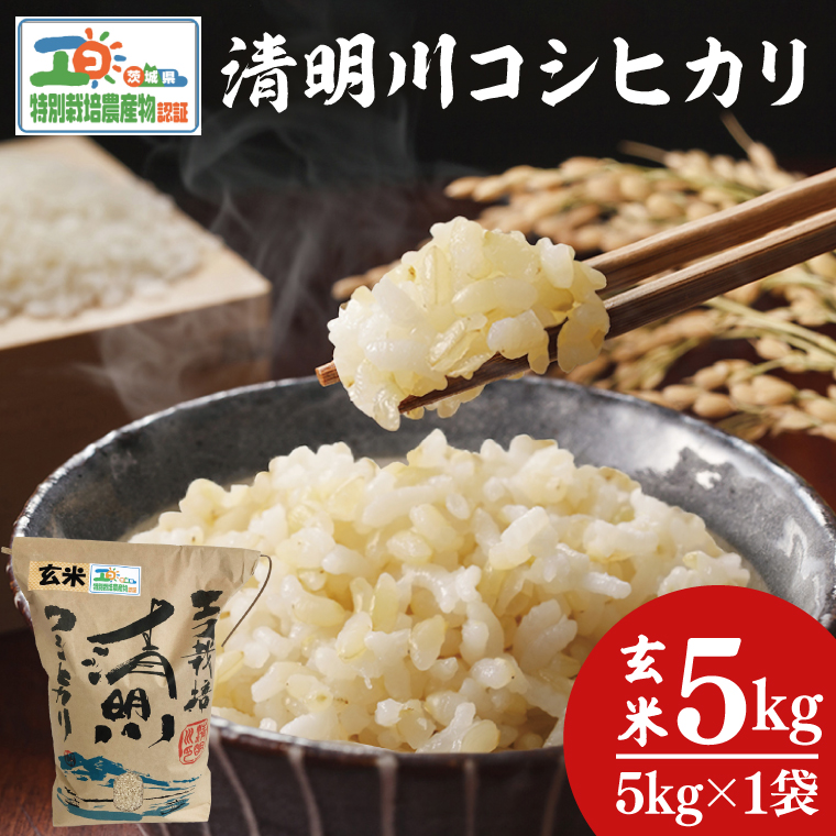 令和7年産 茨城県特別栽培認証 清明川コシヒカリ玄米 5kg【米 おこめ こしひかり  特別栽培米 農家直送 直送 茨城県 阿見町】（04-19-1）