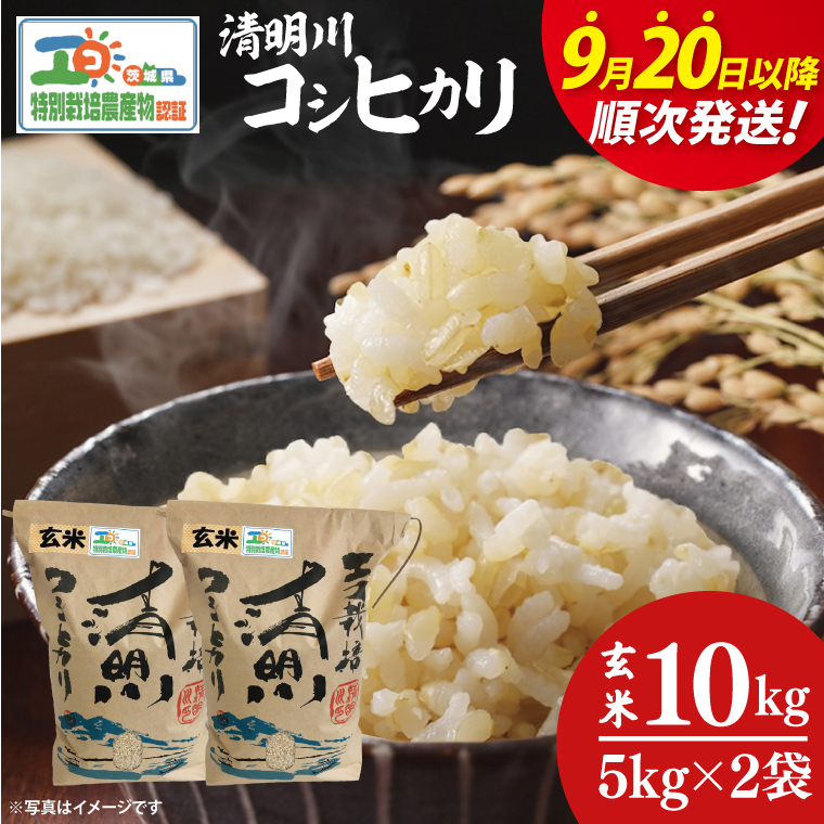 【令和7年9月20日以降順次発送】【先行予約】新米令和7年産 茨城県特別栽培認証 清明川コシヒカリ玄米 5kg×2袋【米 おこめ こしひかり  特別栽培米 農家直送 直送 茨城県 阿見町】（04-20-1）