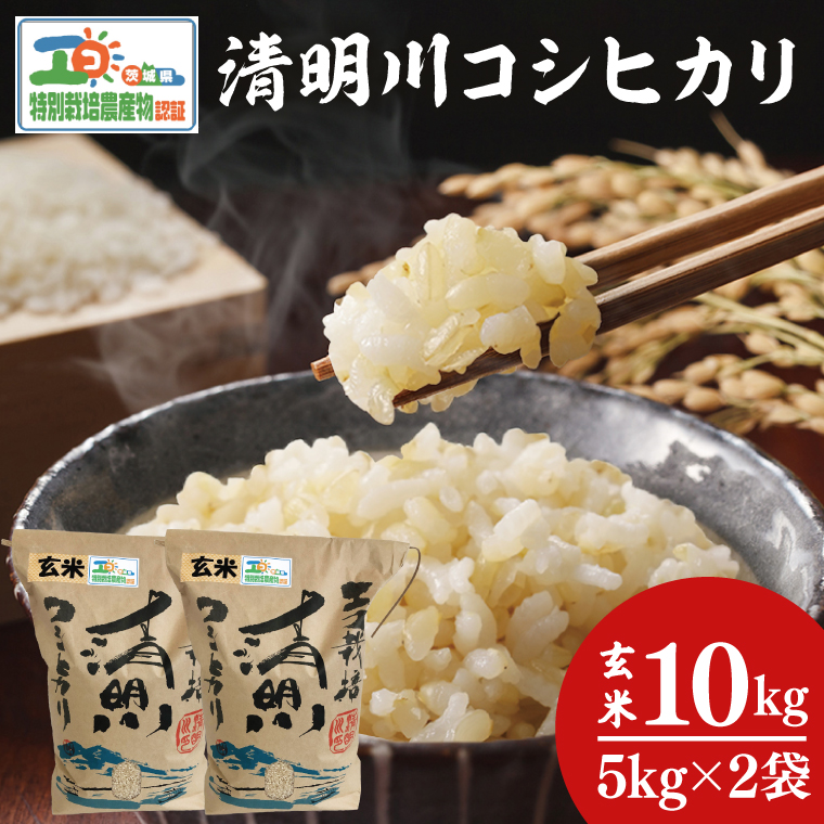 令和7年産 茨城県特別栽培認証 清明川コシヒカリ玄米 5kg×2袋【米 おこめ こしひかり  特別栽培米 農家直送 直送 茨城県 阿見町】（04-20-1）