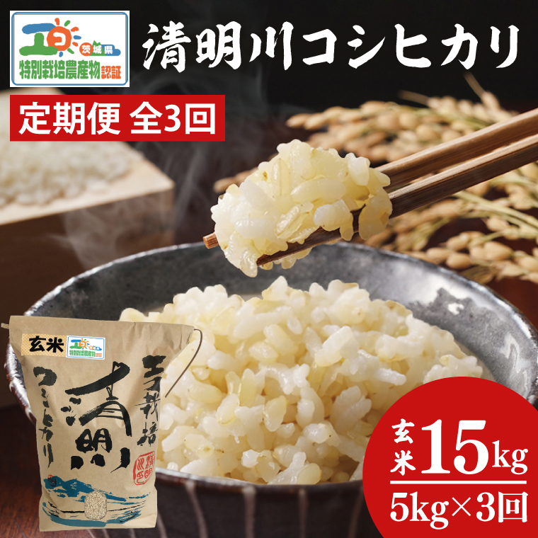 【3ヶ月定期便】茨城県特別栽培認証 清明川コシヒカリ玄米 5kg【米 おこめ こしひかり  特別栽培米 農家直送 直送 茨城県 阿見町】（04-21）