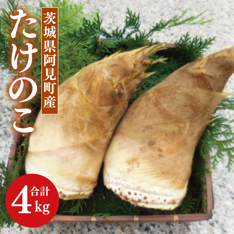 【2025年4月発送】茨城県阿見町産たけのこ4kg【筍 たけのこ 孟宗竹】（25-01）