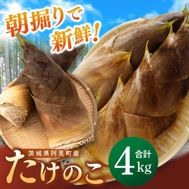 【先行予約】【2026年4月より発送開始】茨城県阿見町産 たけのこ4kg｜朝採れ 旬  春限定 数量限定 国産 タケノコ 筍 産地直送（25-01）
