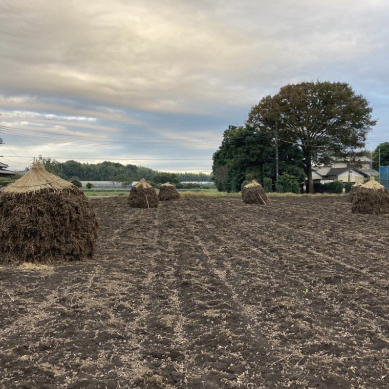 茨城県阿見町産 落花生 中手豊 300ｇ×3袋入り【ピーナッツ おつまみ 殻付き 国産 阿見町 茨城県】（04-27）