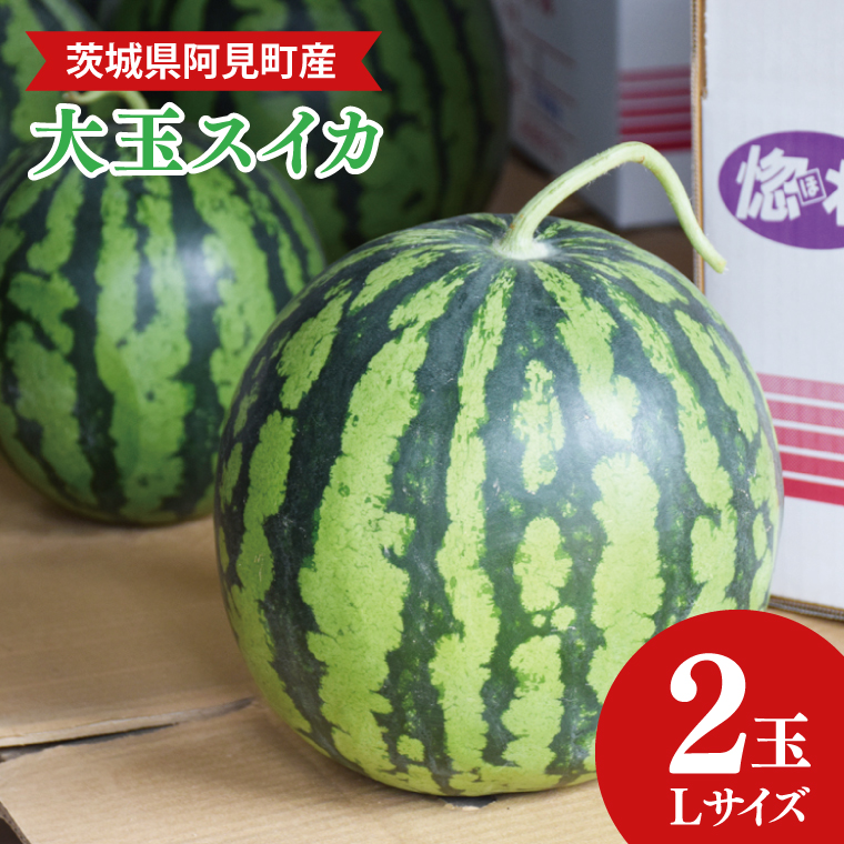 茨城県産大玉すいか2玉（Lサイズ）高糖度  甘い 旬 人気 国産 産地直送 夏限定 期間 数量限定 スイカ 西瓜 フルーツ 果物 茨城県 阿見町【先行予約｜2026年6月中旬より順次配送】（21-01）