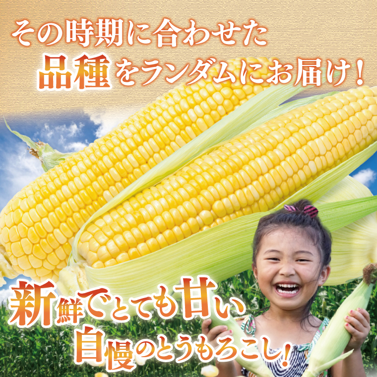 ãšããããã 9æ¬ïœ13æ¬å
¥ãïŒçŽ5kgïŒææ¡ã é«ç³åºŠ çã ã³ãŒã³ å€éå® æ¬ éè æ°é®® äººæ° ç£å°çŽé ãåãå¯ã èšåç é¿èŠçºãå
è¡äºçŽïœ2026幎6æäžæ¬ããé
éãïŒ76-06ïŒ