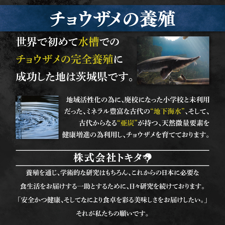 【先行予約】【12月上旬から中旬に発送】【茨城県共通返礼品/河内町】純国産キャビアVoeu-Pence 20ｇ×1個【数量限定 茨城県河内町】(78-01)