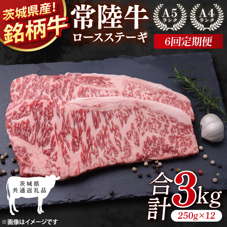 【茨城県共通返礼品】【6回定期便】常陸牛ロースステーキ 計3kg(250g×12)【銘柄牛 牛肉 冷凍 たんぱく質 ビタミン 茨城県産】(81-08)