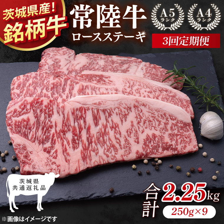 【茨城県共通返礼品】【3回定期便】常陸牛ロースステーキ 計2.25kg(250g×9)【銘柄牛 牛肉 冷凍 たんぱく質 ビタミン 茨城県産】(81-10)