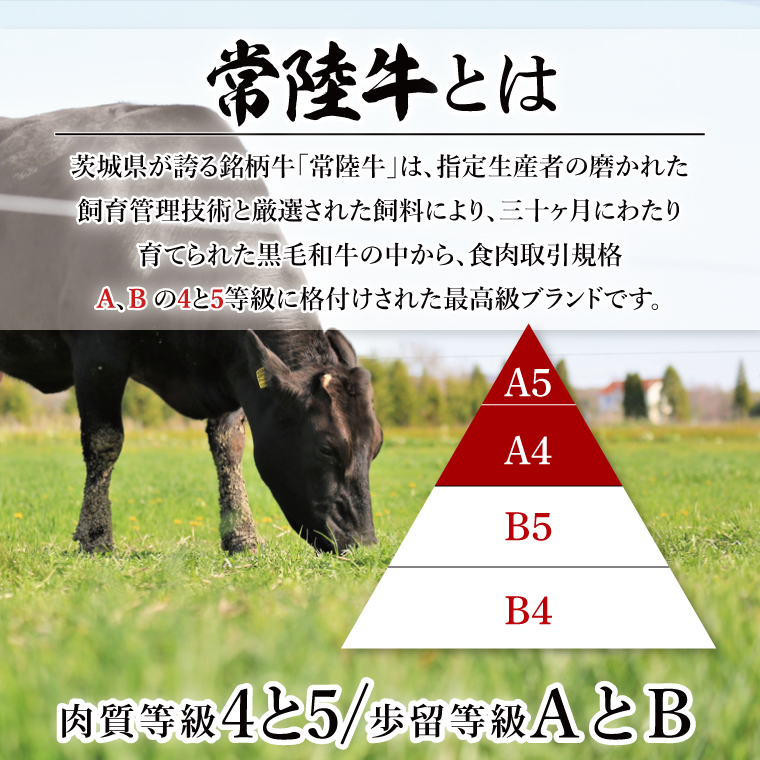 【茨城県共通返礼品】常陸牛ももステーキ400g(200g×2)【モモ 牛肉 銘柄牛 冷凍 たんぱく質 茨城県 阿見町】(81-05)