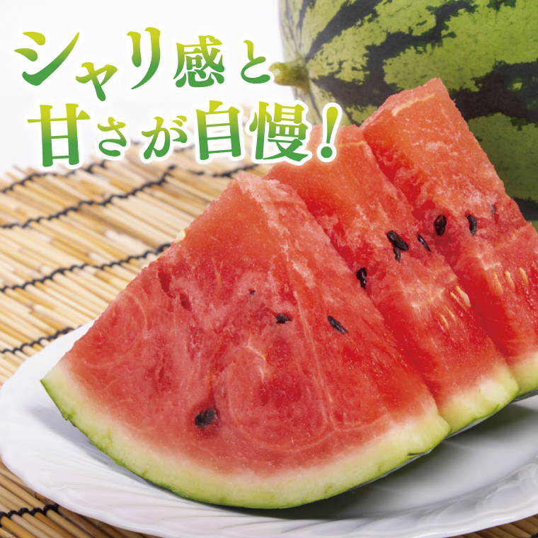 スイカ すいか 西瓜 2L 大玉 甘い 茨城県産 阿見町 産地直送 夏限定 フルーツ シャリ感 春 旬 夏 先行予約【2026年6月下旬より順次配送】（73-02）