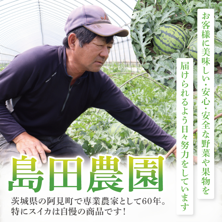 スイカ すいか 西瓜 2L 大玉 甘い 茨城県産 阿見町 産地直送 夏限定 フルーツ シャリ感 春 旬 夏 先行予約【2026年6月下旬より順次配送】（73-02）