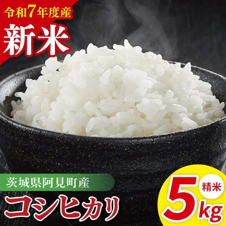 令和7年産 阿見町産コシヒカリ　精米　5kg｜ お米 米 ごはん 阿見町 茨城県 茨城県産 茨城県産米（85-02）