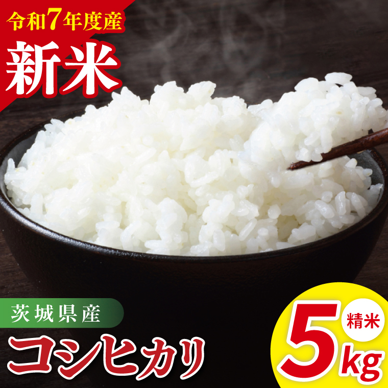 令和7年産 茨城県産コシヒカリ　精米　5kg｜ お米 米 ごはん 阿見町 茨城県 茨城県産 茨城県産米（85-11）