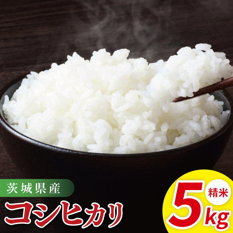 茨城県産コシヒカリ　精米　5kg｜精米 定期便 お米 米 こめ コメ ごはん 白米 阿見町 茨城県 茨城県産 茨城県産米 安心 安全 送料無料 国産 人気 数量限定 高評価（85-11）