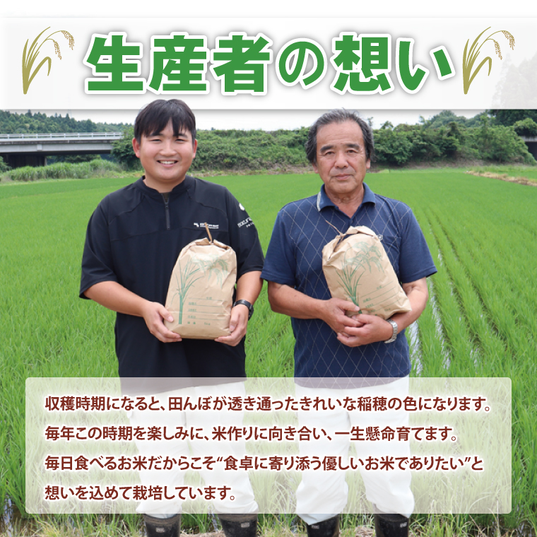 【2ヶ月定期便】令和7年産 茨城県産コシヒカリ　精米　10kg（5kg×2）｜ お米 米 ごはん 阿見町 茨城県 茨城県産 茨城県産米（85-18）