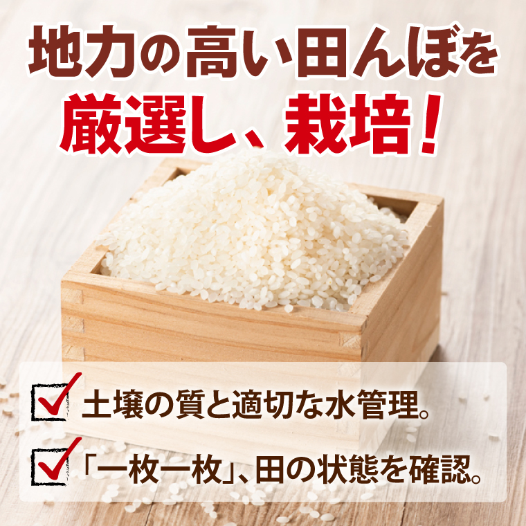 【3ヶ月定期便】令和7年産 茨城県産コシヒカリ　精米　10kg（5kg×2）｜ お米 米 ごはん 阿見町 茨城県 茨城県産 茨城県産米（85-24）
