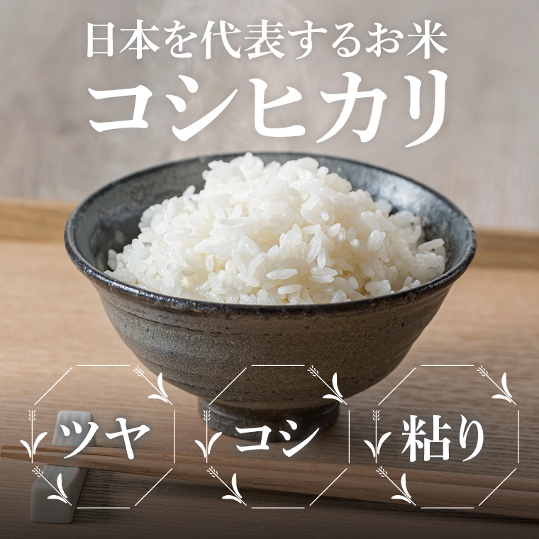【3ヶ月定期便】令和7年産 茨城県産コシヒカリ　精米　10kg（5kg×2）｜ お米 米 ごはん 阿見町 茨城県 茨城県産 茨城県産米（85-24）
