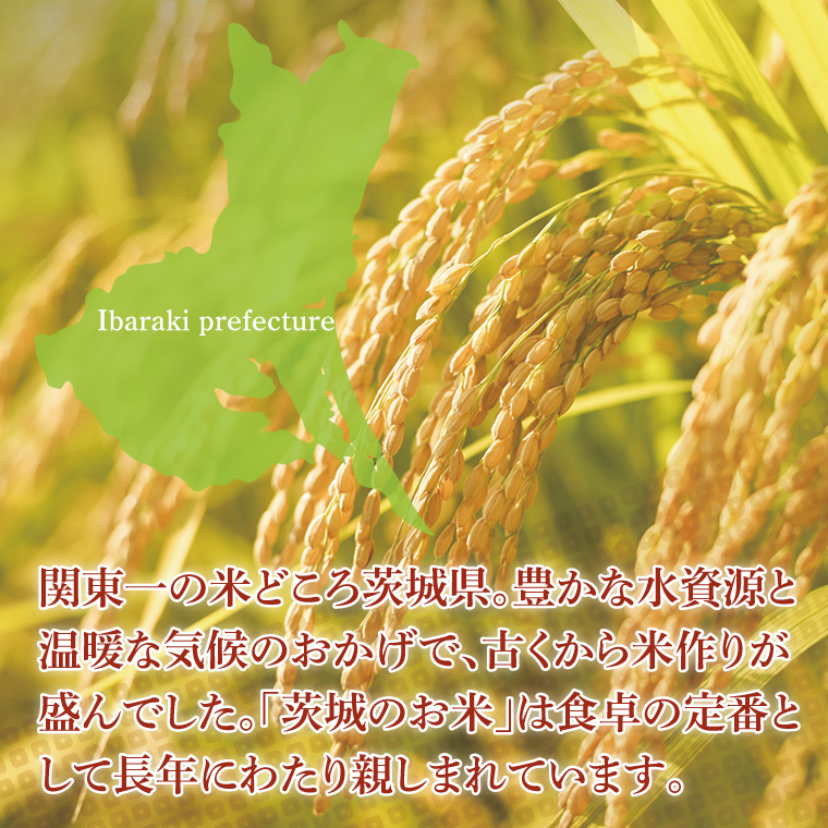 【3ヶ月定期便】令和7年産 茨城県産コシヒカリ　精米　10kg（5kg×2）｜ お米 米 ごはん 阿見町 茨城県 茨城県産 茨城県産米（85-24）