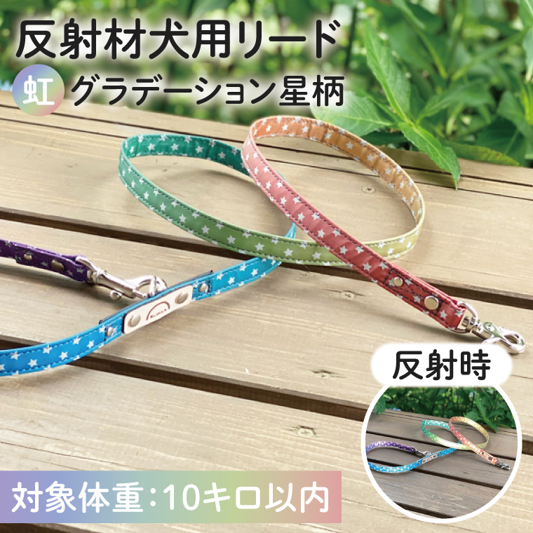 『虹グラデーション星柄』オリジナル反射材の光る犬用リード【小型犬10kg用】【散歩 愛犬 夜散歩 阿見町 茨城県】(40-04)
