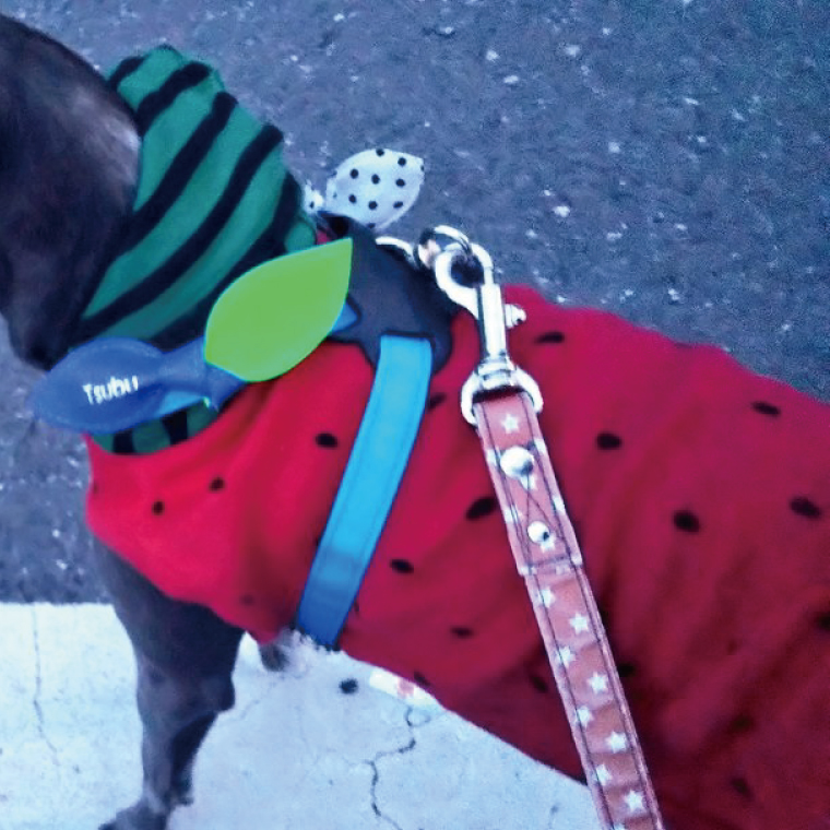 『虹グラデーション星柄』オリジナル反射材の光る犬用リード【小型犬10kg用】【散歩 愛犬 夜散歩 阿見町 茨城県】(40-04)