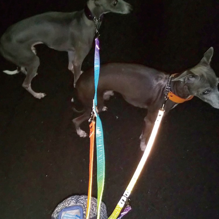 『虹グラデーション星柄』オリジナル反射材の光る犬用リード【小型犬10kg用】【散歩 愛犬 夜散歩 阿見町 茨城県】(40-04)