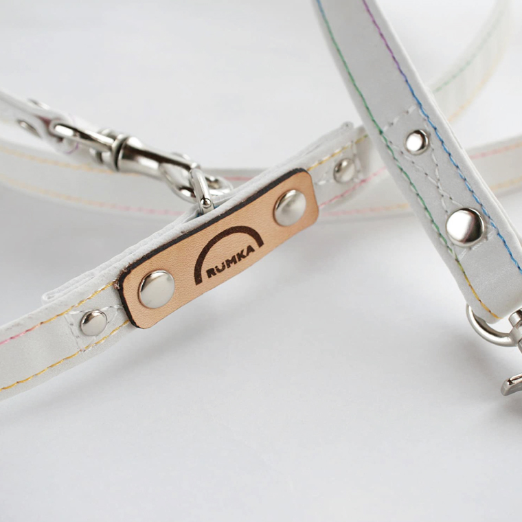 『白×虹柄』反射材の光る犬用リード【小型犬5kg用】【散歩 愛犬 夜散歩 阿見町 茨城県】(40-05)