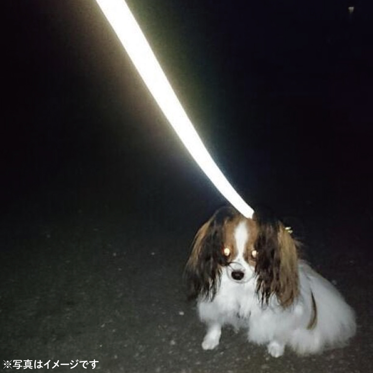 『白×虹柄』反射材の光る犬用リード【小型犬5kg用】【散歩 愛犬 夜散歩 阿見町 茨城県】(40-05)