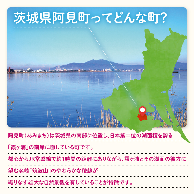 【返礼品なし】阿見町ふるさと応援寄附金(3000円)(000-02)