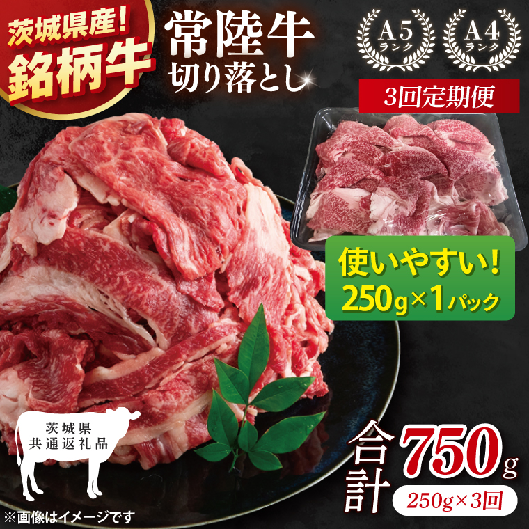 【茨城県共通返礼品】【3ヶ月定期便】お試しサイズ！常陸牛切り落とし 250g【黒毛和牛 国産 銘柄牛 牛肉 肉 冷凍 茨城県産】(81-23)