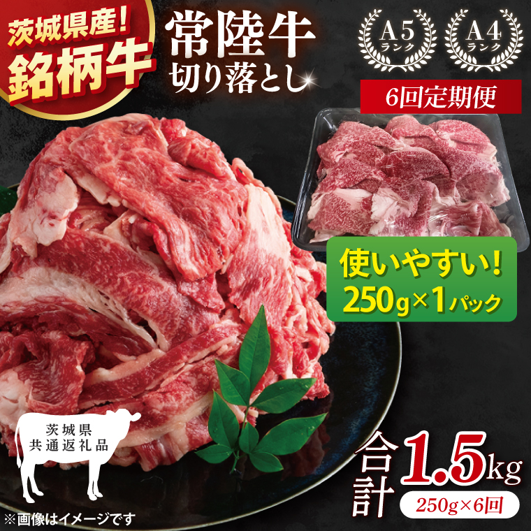 【茨城県共通返礼品】【6ヶ月定期便】お試しサイズ！常陸牛切り落とし 250g【黒毛和牛 国産 銘柄牛 牛肉 肉 冷凍 茨城県産】(81-24)