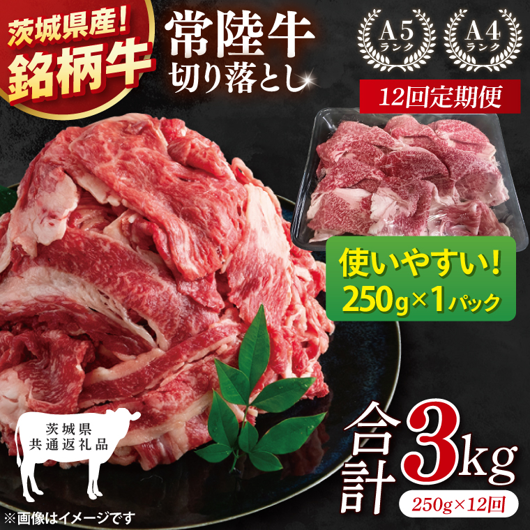 【茨城県共通返礼品】【12ヶ月定期便】お試しサイズ！常陸牛切り落とし 250g【黒毛和牛 国産 銘柄牛 牛肉 肉 冷凍 茨城県産】(81-25)