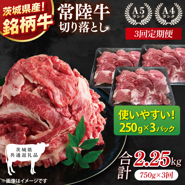 【茨城県共通返礼品】【3ヶ月定期便】常陸牛切り落とし 750g（250g×3）【黒毛和牛 国産 銘柄牛 牛肉 肉 冷凍 茨城県産】(81-27)
