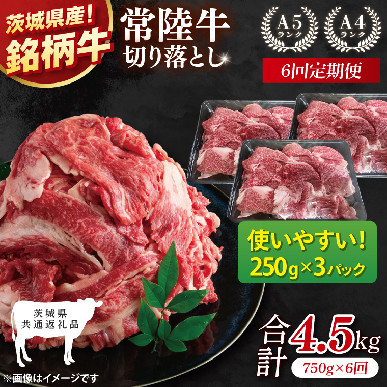 【茨城県共通返礼品】【6ヶ月定期便】常陸牛切り落とし 750g（250g×3）【黒毛和牛 国産 銘柄牛 牛肉 肉 冷凍 茨城県産】(81-28)