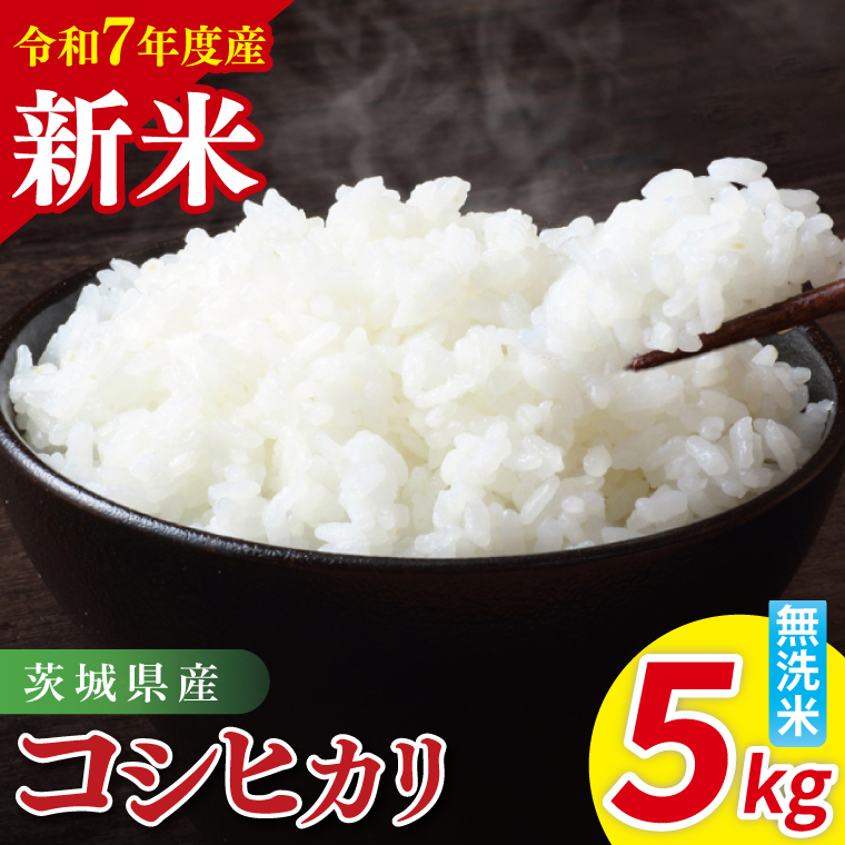 令和7年産 茨城県産コシヒカリ　無洗米　5kg｜ お米 米 ごはん 阿見町 茨城県 茨城県産 茨城県産米（85-14）