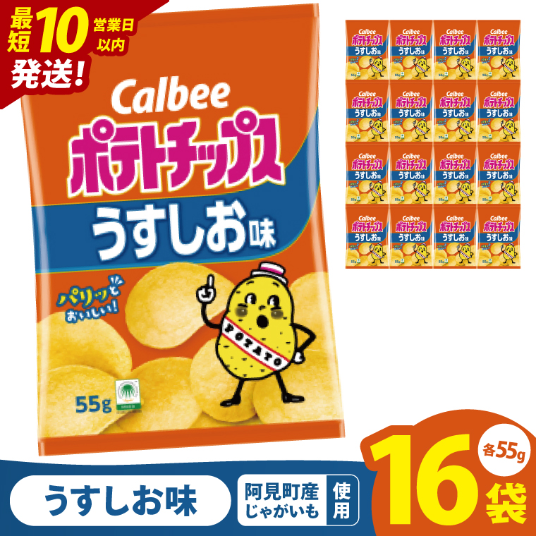 【10営業日以内に出荷】カルビー ポテトチップスうすしお味（55g） 16個｜Calbee お菓子 菓子 おやつ おかし ぽてち ポテチ スナック おつまみ ジャガイモ じゃがいも（93-01）