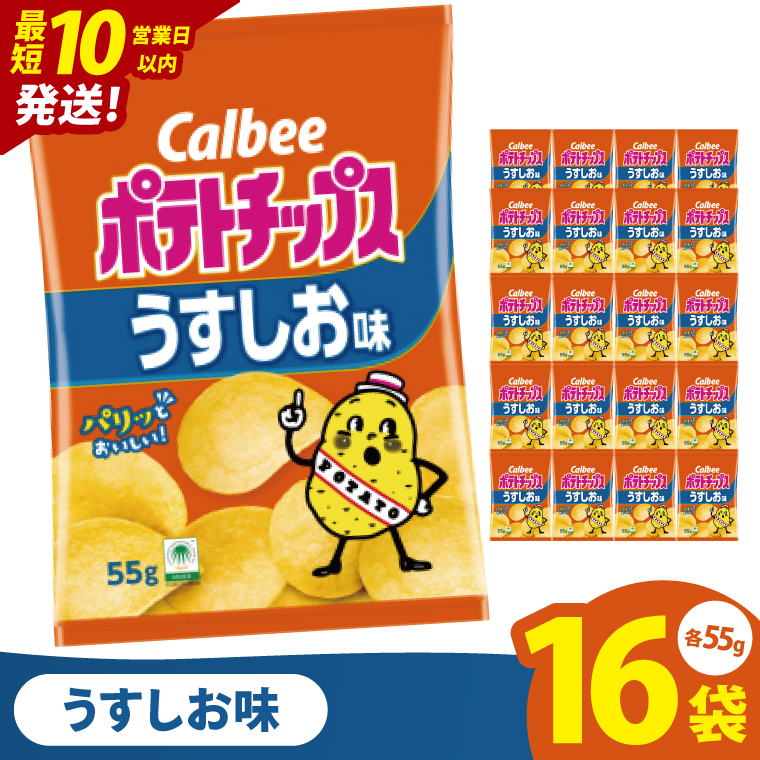 【10営業日以内に出荷】カルビー ポテトチップスうすしお味（55g） 16個｜Calbee お菓子 菓子 おやつ おかし ぽてち ポテチ スナック おつまみ ジャガイモ じゃがいも（93-01）