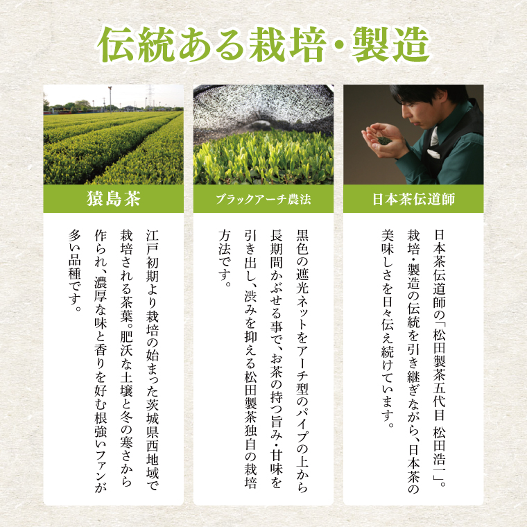 【茨城県共通返礼品/八千代町】猿島茶ティーバッグ5種類セット【高級猿島茶 北条米玄米茶 レモン緑茶 黒豆ほうじ茶 和紅茶つゆひかり】(79-01)