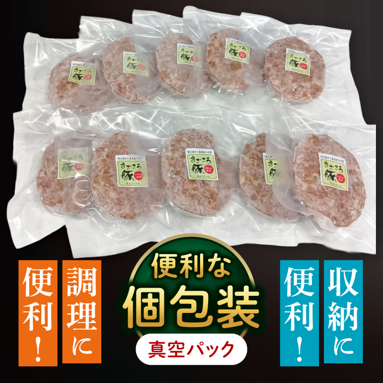 【茨城県共通返礼品】国産まごころ豚ハンバーグ100g×10個【高品質 豚肉 銘柄豚 ブランド豚 人気豚肉 個包装 冷凍 茨城県産 阿見町】(92-01)