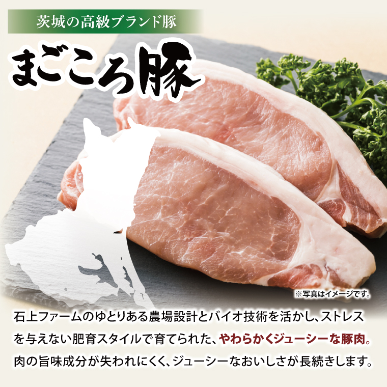 【茨城県共通返礼品】国産まごころ豚ハンバーグ100g×10個【高品質 豚肉 銘柄豚 ブランド豚 人気豚肉 個包装 冷凍 茨城県産 阿見町】(92-01)