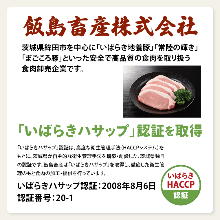 【茨城県共通返礼品】国産まごころ豚ハンバーグ100g×10個【高品質 豚肉 銘柄豚 ブランド豚 人気豚肉 個包装 冷凍 茨城県産 阿見町】(92-01)