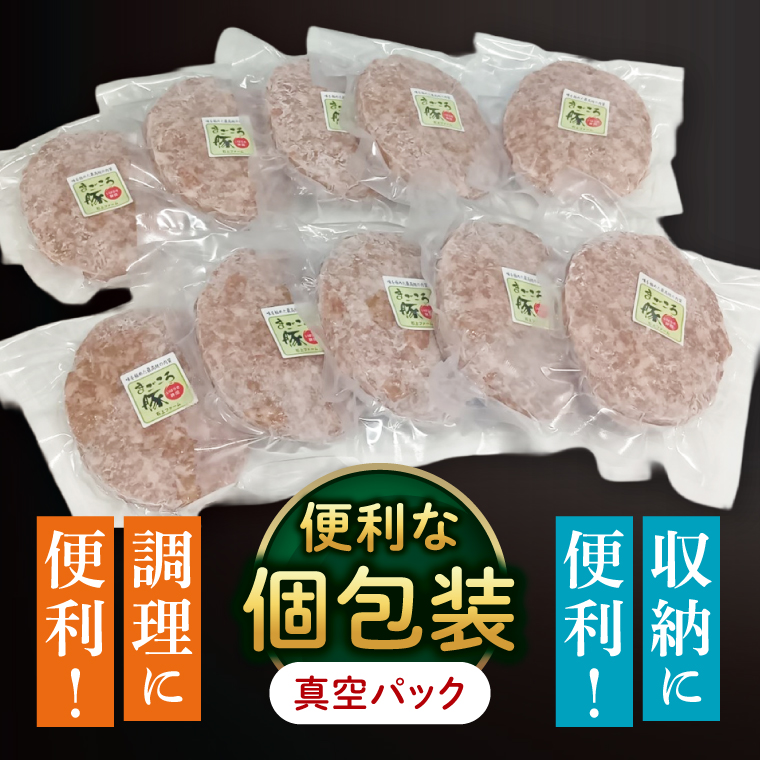 【茨城県共通返礼品】国産まごころ豚ハンバーグ200g×10個【高品質 豚肉 銘柄豚 ブランド豚 人気豚肉 個包装 冷凍 茨城県産 阿見町】(92-02)